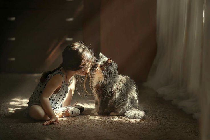 22e0e8ab1d9acfff387914c562278262