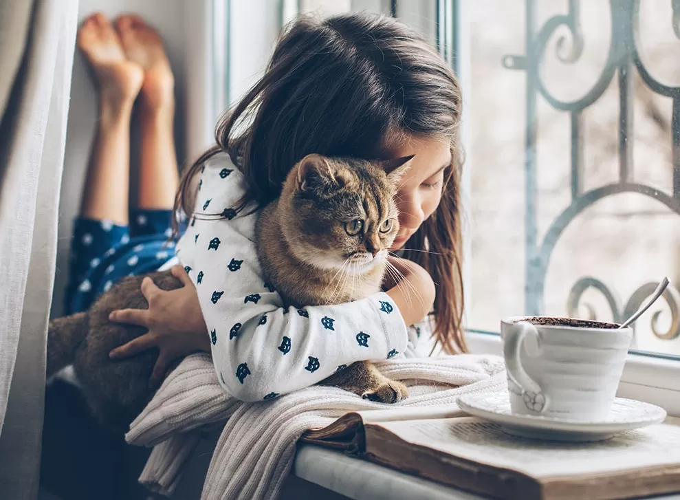 پروپت بهترین و بزرگترین تولید کننده خاک گربه در دنیا